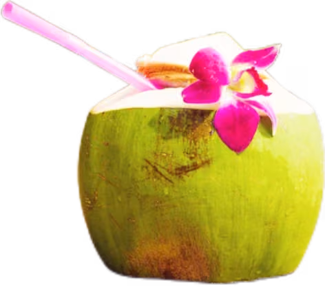 Kokos